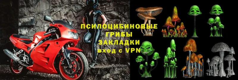 blacksprut маркетплейс  что такое   Люберцы  Галлюциногенные грибы Psilocybe 